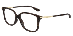 Alexander McQueen AM 0554O - 006 HAVANA