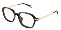 Chloe CH 0361OA - 002 HAVANA/GOLD
