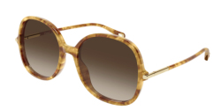 Chloe CH 0383S - 002 HAVANA brown gradient