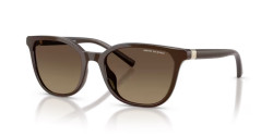 Armani Exchange AX 4168SU - 8402T5 SHINY DARK BROWN polarized yellow/brown