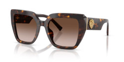 Dolce&Gabbana DG 4538 - 502/13 HAVANA gradient brown
