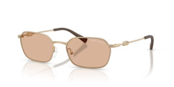 Armani Exchange AX 2056S  - 612173 MATTE PALE GOLD brown
