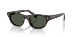 Prada PR C08S - 17N90V HAVANA dark grey polarized