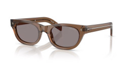 Prada PR C09S - 28I03D CLAY grey