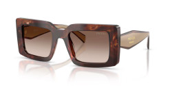 Prada PR D01S - 00K10S CARAMEL TORTOISE brown gradient