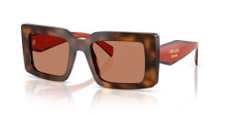 Prada PR D01S - 01K90Q JUNIPER TORTOISE/COTTO brown