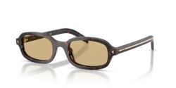 Prada PR D06S - 17N70R ROOT TORTOISE light brown