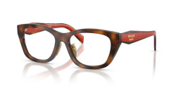 Prada PR D11VD - 01K1O1 JUNIPER HAVANA