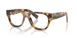 Prada PR D08VU - 14L1O1 HONEY HAVANA