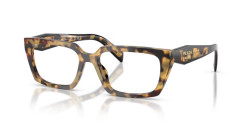 Prada PR D05V - 24L1O1 MEDIUM HAVANA
