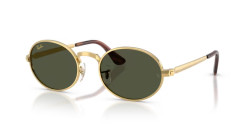 Ray-Ban RB 3931 - 001/31 ARISTA GOLD green