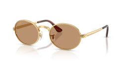 Ray-Ban RB 3931 - 001/53 ARISTA GOLD brown