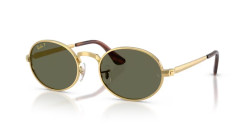 Ray-Ban RB 3931 - 001/58 ARISTA GOLD polarized green