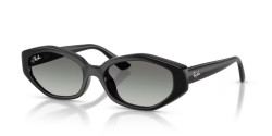 Ray-Ban RB 4473D - 667711 BLACK gradient grey
