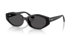 Ray-Ban RB 4473D - 667787 BLACK dark grey
