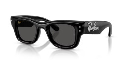 Ray-Ban RB 4940B WAYFARER PUFFER - 686487 BLACK & STRASS ultra black