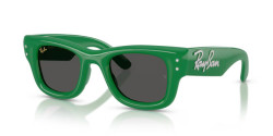Ray-Ban RB 4940B WAYFARER PUFFER - 685987 GREEN & STRASS ultra black