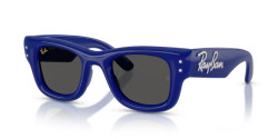 Ray-Ban RB 4940B WAYFARER PUFFER - 686087 BLUE & STRASS ultra black