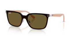 Ray-Ban RB 3784D - 003/73 SILVER dark brown
