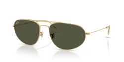 Ray-Ban RB 3945 - 919631 LEGEND GOLD green