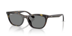 Ray-Ban RB 4474D - 710/87 HAVANA dark grey