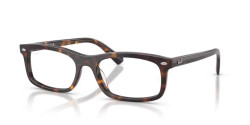 Ray-ban RB 5450 - 2012 HAVANA