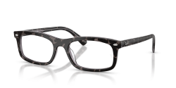 Ray-ban RB 5450 - 8483 HAVANA GREY