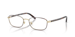 Ray-Ban  RX 6551D - 3193 HAVANA GOLD
