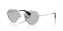 Burberry BE 3173D - 100587 SILVER light grey
