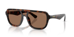 Burberry BE 4474U - 300273 DARK HAVANA dark brown