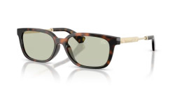 Burberry BE 4481D - 3002/2 DARK HAVANA light green