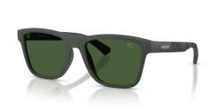 Burberry BE 4482U - 423271 MATTE GREEN dark green