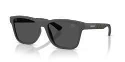 Burberry BE 4482U - 423387 MATTE GREY dark grey