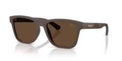 Burberry BE 4482U - 423473 MATTE BROWN dark brown