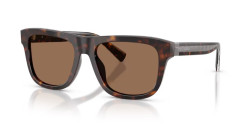 Dolce&Gabbana DG 4545 - 502/73 HAVANA dark brown