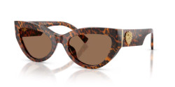 Dolce&Gabbana DG 4536 - 347073 LEO TRANSPARENT dark brown