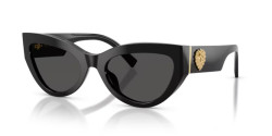 Dolce&Gabbana DG 4536 - 501/87 BLACK dark grey