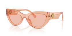 Dolce&Gabbana DG 4536 - 322684 NUDE TRANSPARENT dark pink