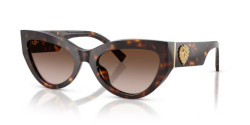 Dolce&Gabbana DG 4536 - 502/13 HAVANA gradient brown