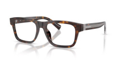 Dolce&Gabbana DG 3446 - 502 HAVANA
