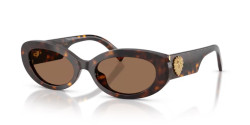 Dolce&Gabbana DG 4537 - 502/73 HAVANA dark brown