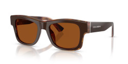 Dolce&Gabbana DG 4515 - 345673 TOP BROWN/PEARL GOLD/BROWN dark brown