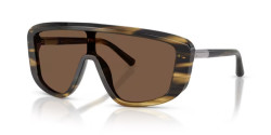 Dolce&Gabbana DG 4520 - 306373 STRIPED BROWN brown