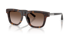 Dolce&Gabbana DG 4521 - 502/13 HAVANA gradient brown