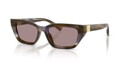Dolce&Gabbana DG 4532 - 3447LA STRIPED OLIVE violet
