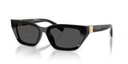 Dolce&Gabbana DG 4532 - 501/87 BLACK dark grey