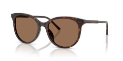 Dolce&Gabbana DG 4540 - 502/13 HAVANA dark brown