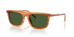 Dolce&Gabbana DG 4542 - 348371 CAMEL ON STRIPED GINGER dark green