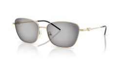 Emporio Armani EA 2170 - 30138G SHINY PALE GOLD grey gradient black