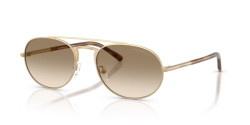 Emporio Armani EA 2171 - 300213 MATTE PALE GOLD yellow gradient brown
